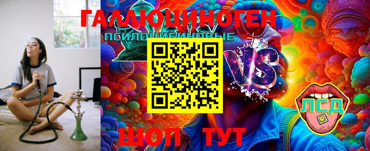 Галлюциногенные грибы GOLDEN TEACHER  Псилоцибиновые грибы Cubensis  цены   Воронеж  Вход с VPN 