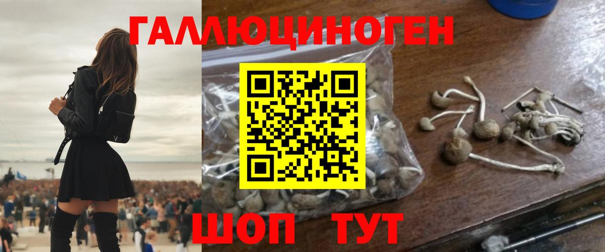 Псилоцибиновые грибы MAGIC MUSHROOMS Воронеж